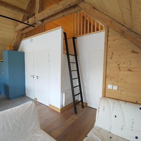 Logement Entre Lac Et Montagne Annecy Dış mekan fotoğraf